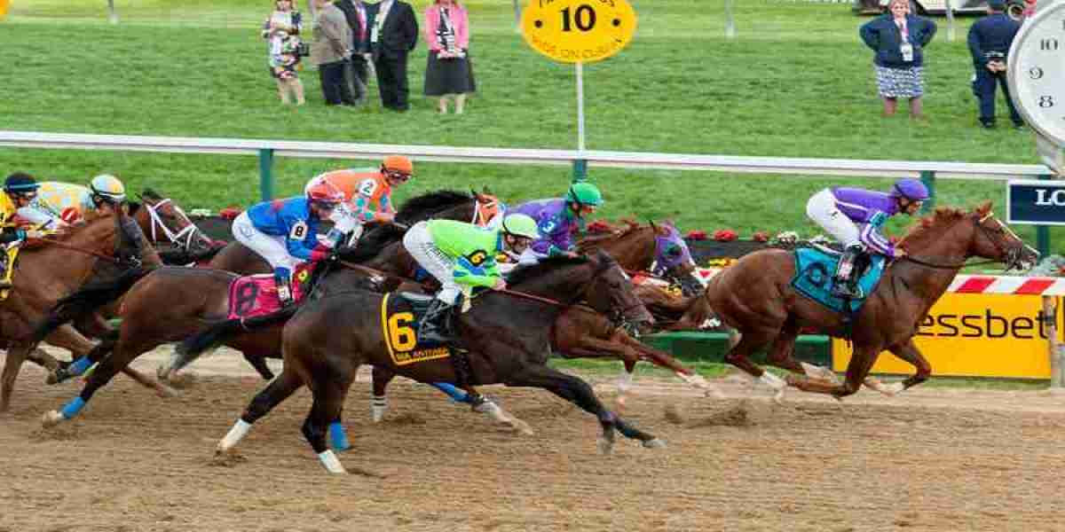 Exploring the World of Korean Gambling Sites