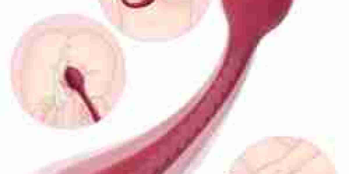 anal plug dildos with suction cup km809